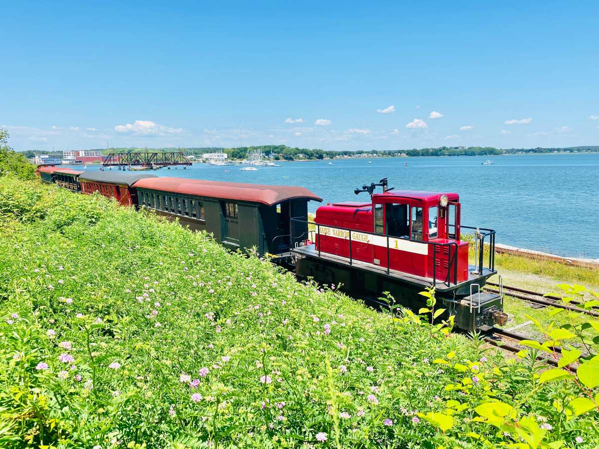 Daily Train Ride